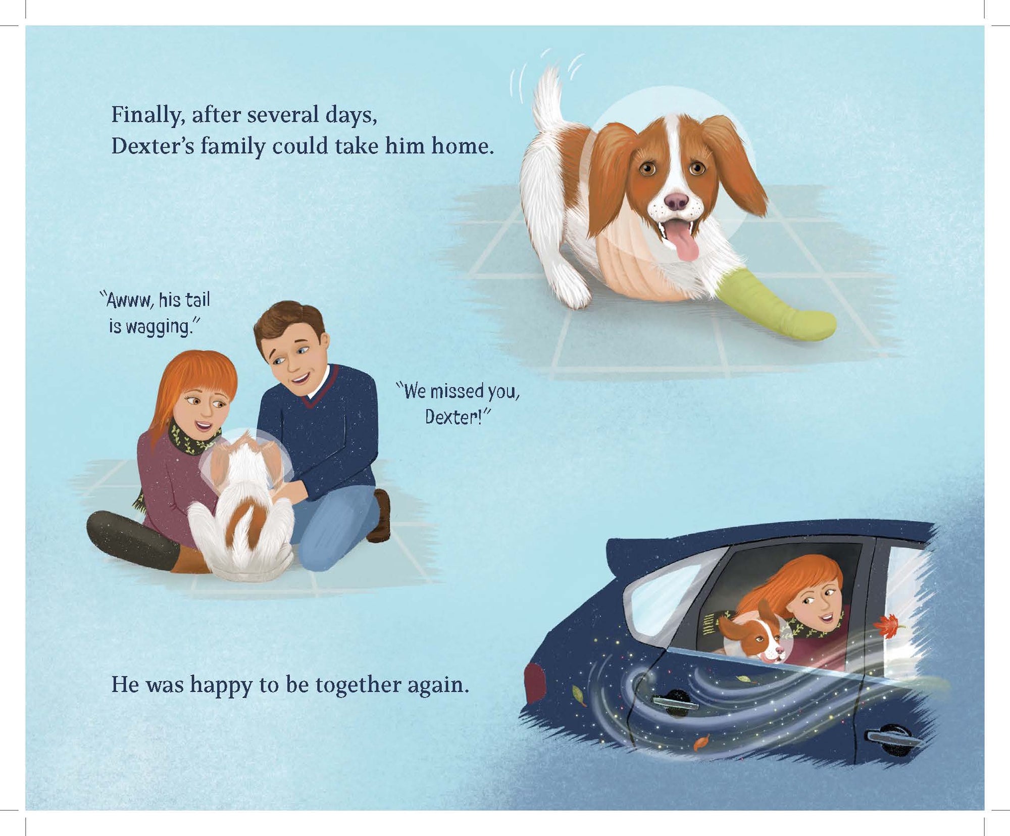 Dexter: The Stand Up Dog