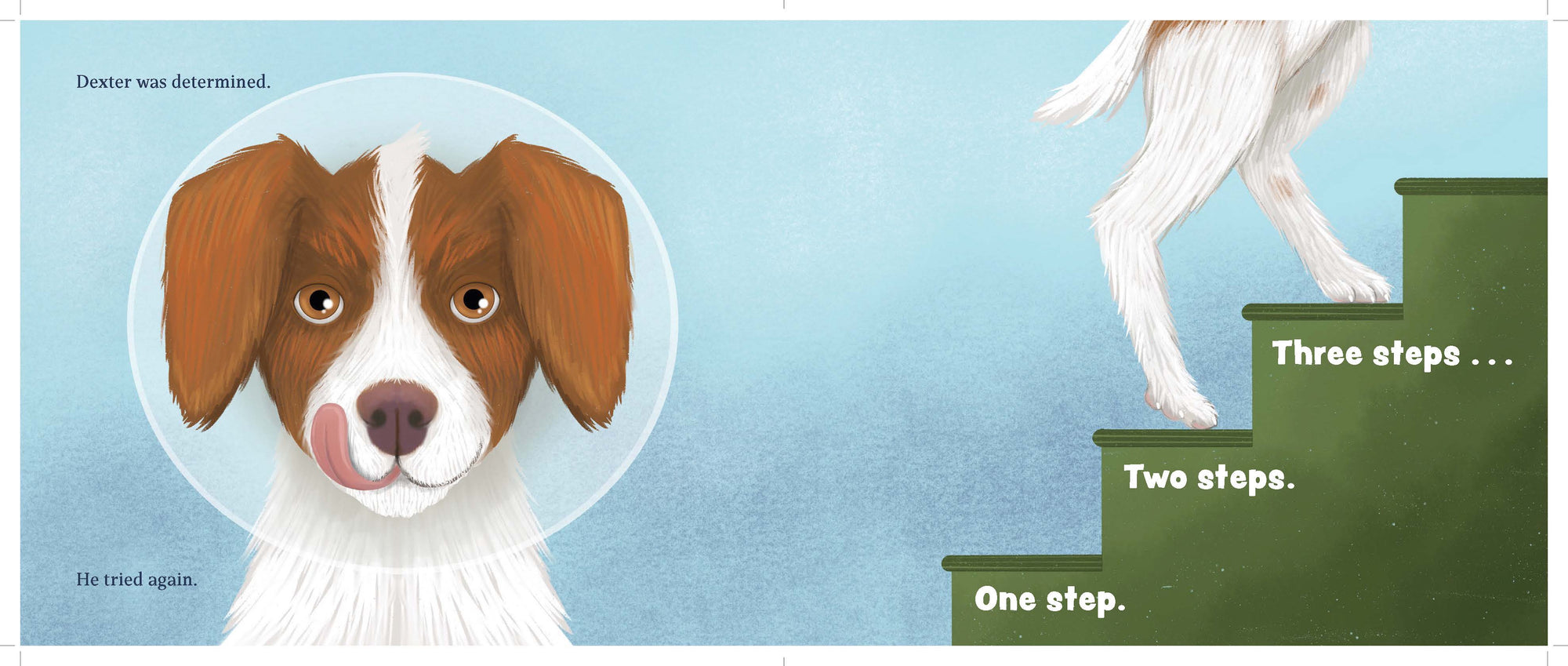 Dexter: The Stand Up Dog