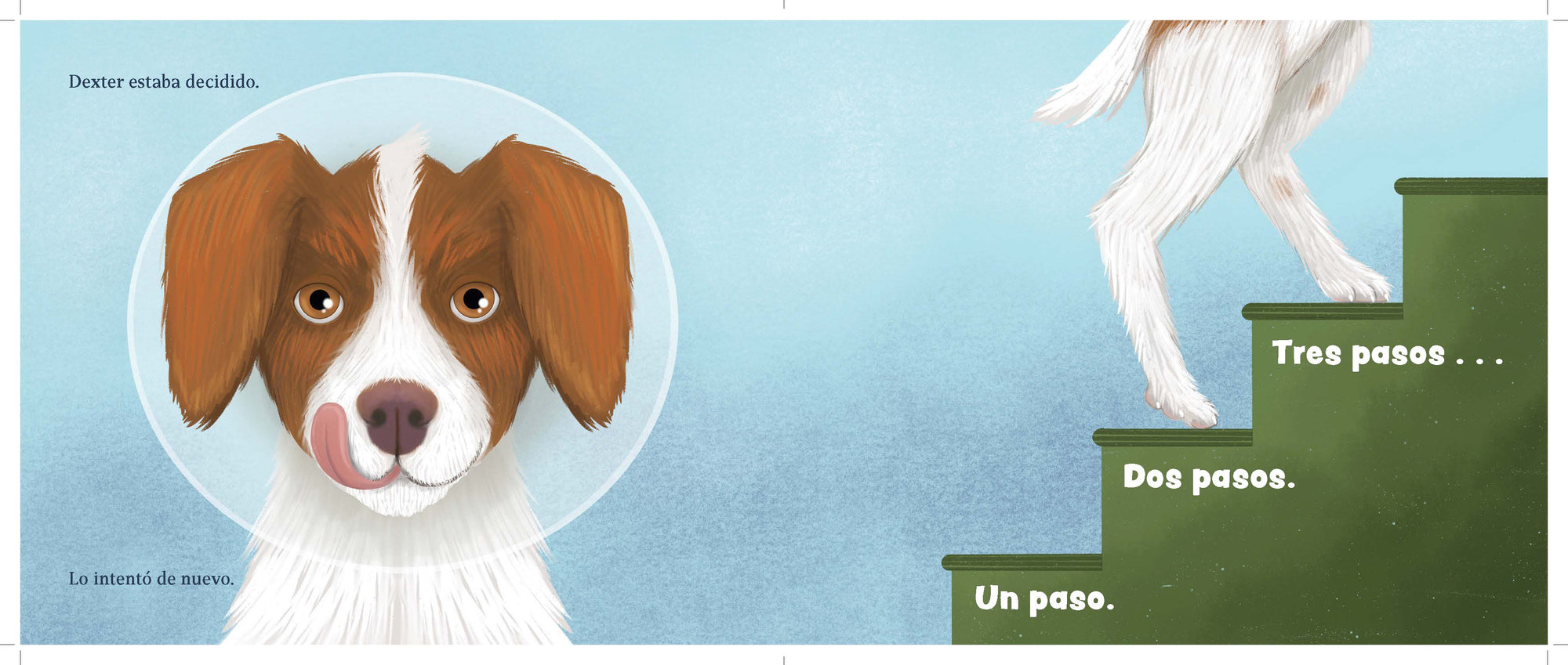 Dexter: El perro que camina de pie