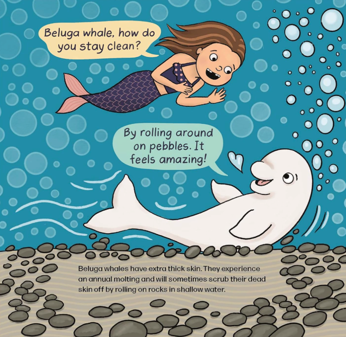 Sea Suds