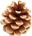 Gnome Road Publishing logo